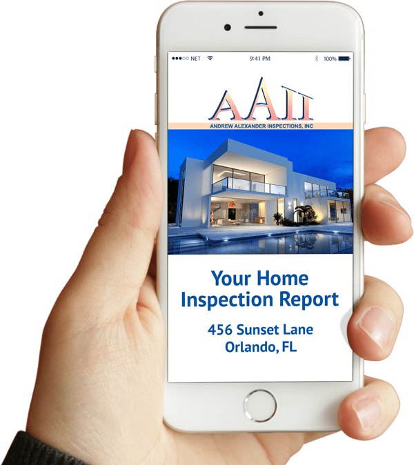 Phone with Example Inspection Report